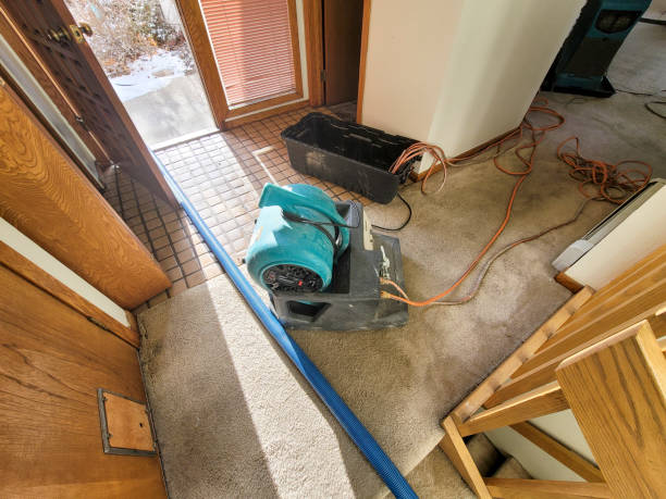 Water damage restoration insurance claims in Cibolo, TX