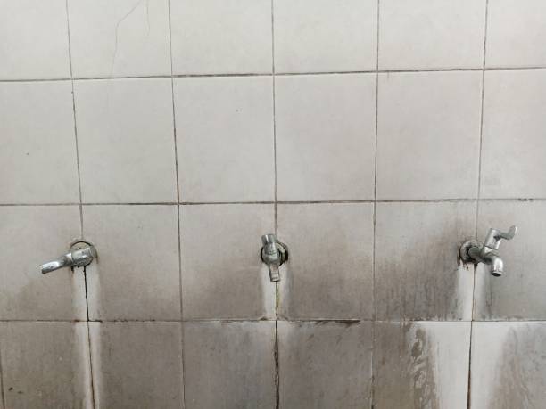 Best Flooded house restoration  in Cibolo, TX