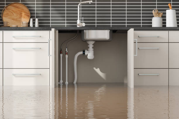 Best Carpet water damage restoration  in Cibolo, TX