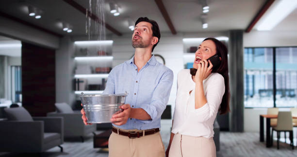  Cibolo, TX Water damage restoration Pros